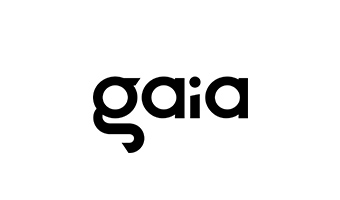 Read more about the article GAIA
